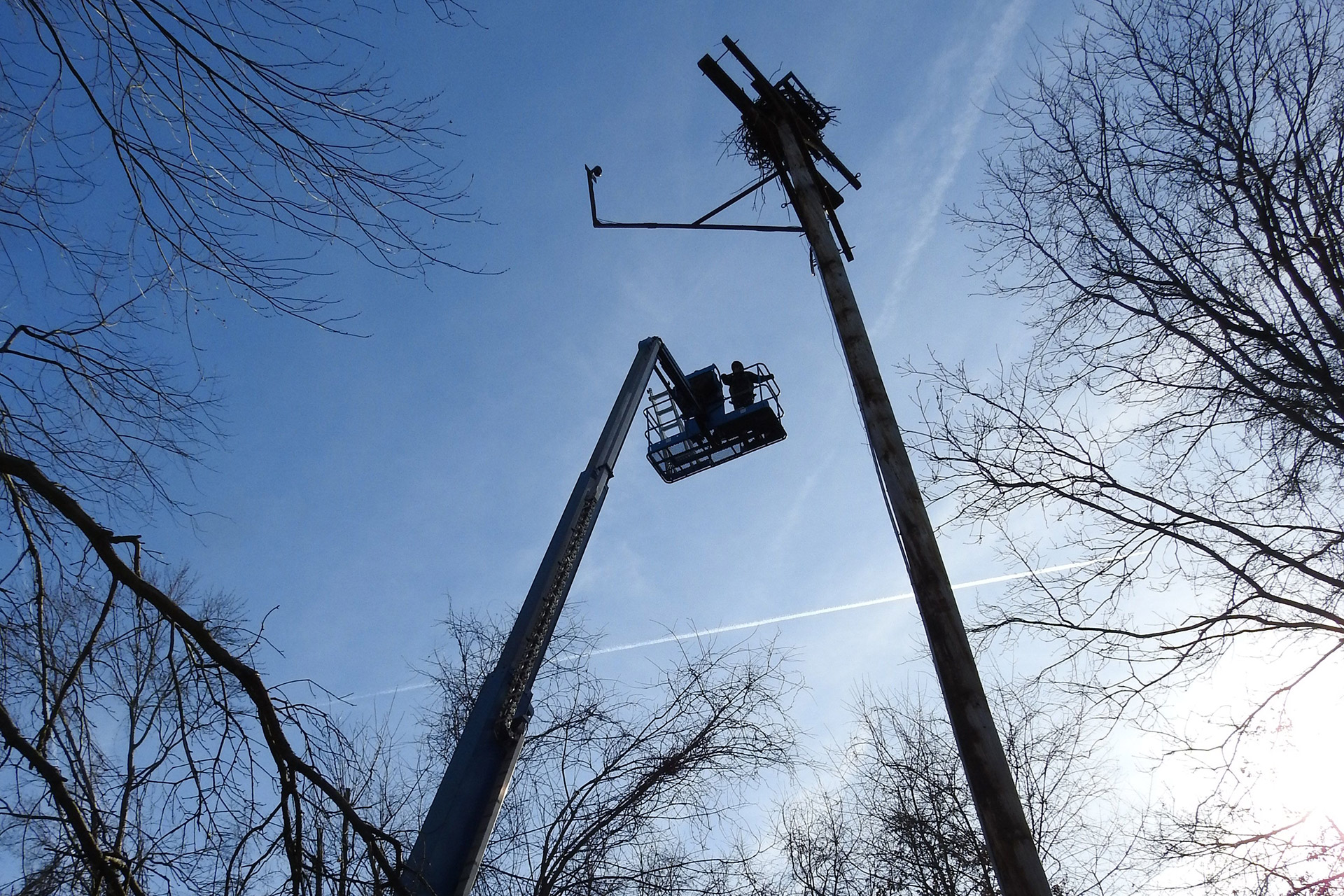 ITG Projects - Moraine Preservation Fund Osprey Camera