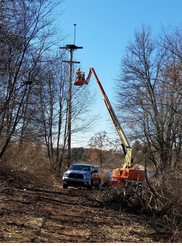 Osprey Cam Installation