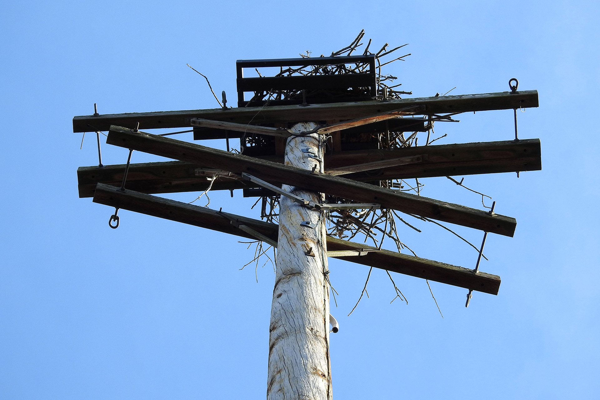 ITG Projects - Moraine Preservation Fund Osprey Camera